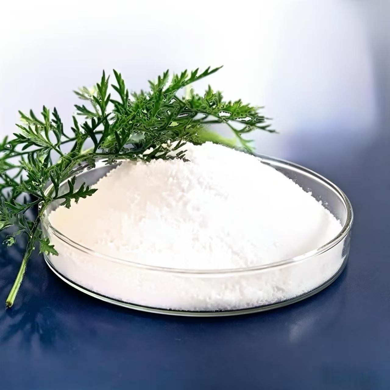 Plant Based Protein Powder